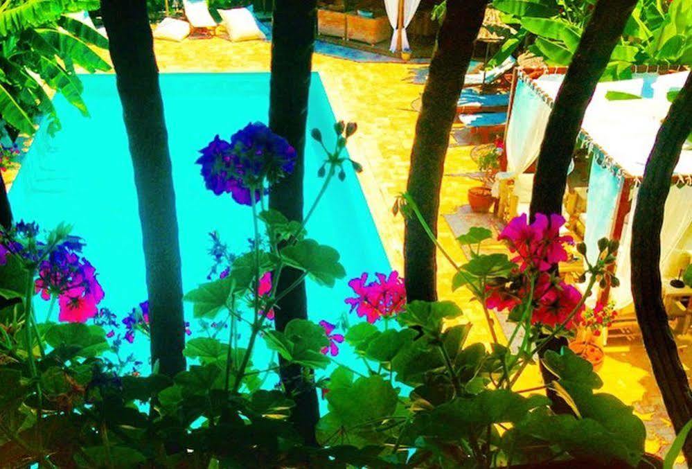 Boutique Hotel